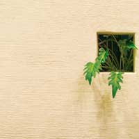 薩摩中霧島壁