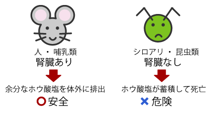 エコボロン